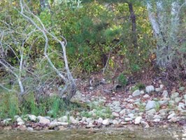 Cliff Pond IMG 4041